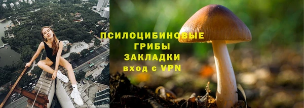 молекула духа Протвино